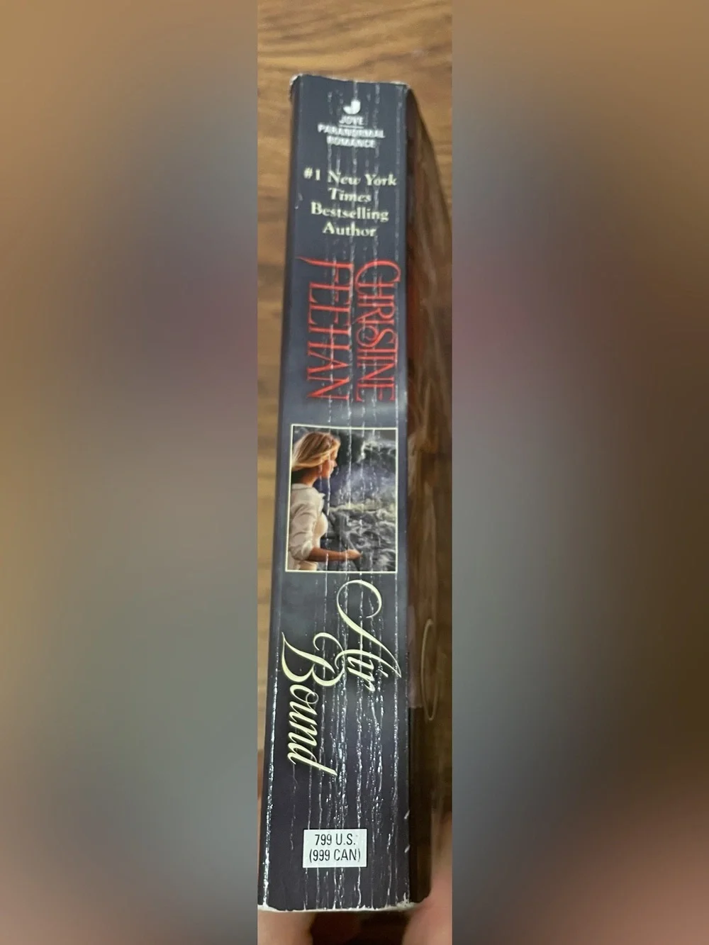 'Air Bound' Paperback Book by Christine Freehan Book 3 in the Sea Heaven Series